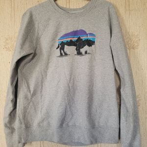 Patagonia Buffalo crew